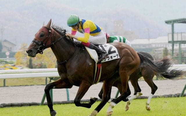 菊花賞への重要ステップレース、神戸新聞杯の狙い目はコース適性が高い血統を持つ２頭