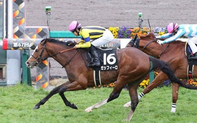 オールカマーはラスト１ハロンが速い異例の馬場を味方にできる伏兵の一発に警戒せよ