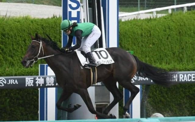 【阪神4R新馬戦結果】トビーズコーナー産駒のクリノファンタジアが圧勝！