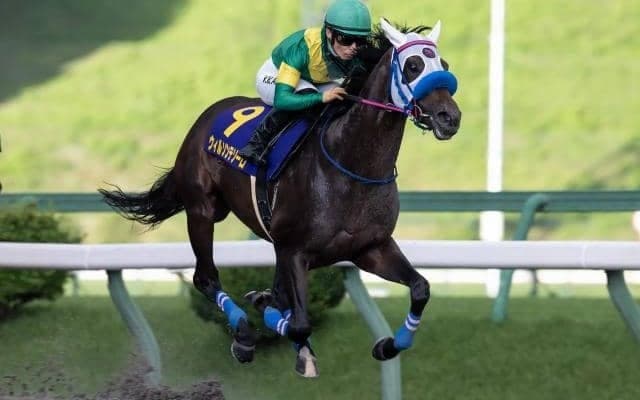 【金沢・白山大賞典枠順】ダートグレード競走を連勝中のウィルソンテソーロは3枠3番