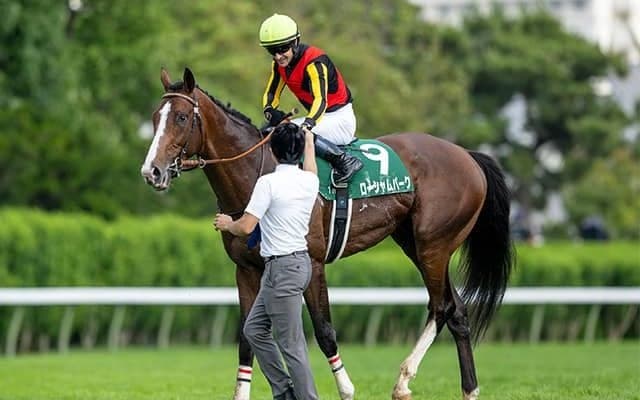 【オールカマー予想】芝の違いが好走を阻む!? 高速馬場の野芝が舞台で位置取りもポイントに