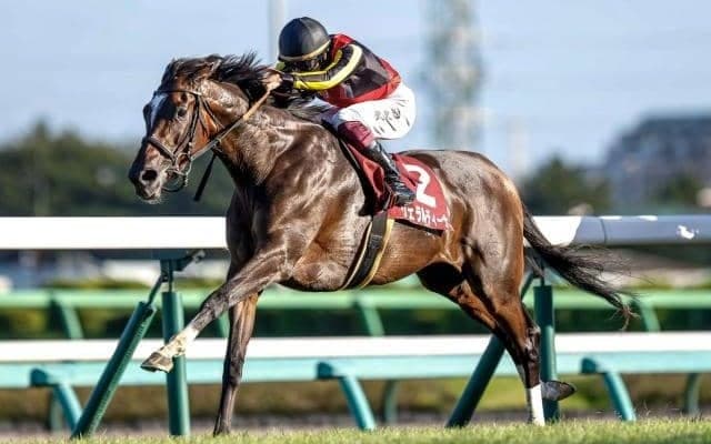 芝2200mはベストの舞台 前走も“負けて強し”でオールカマー連覇だ