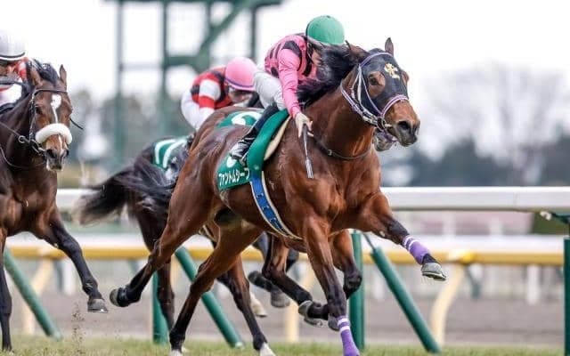 【AI予想・神戸新聞杯】週初から一転の本命は連対率100％のデータに唯一該当する実力馬