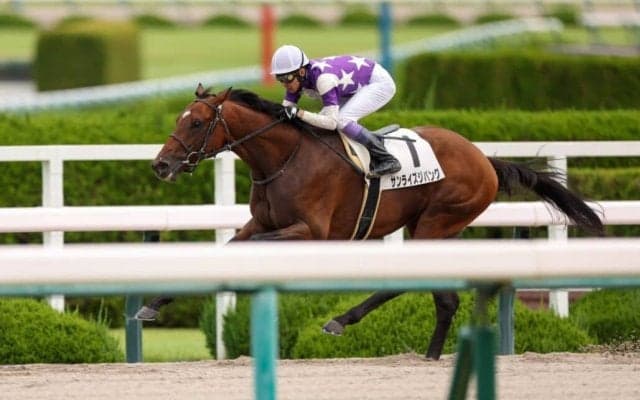 【阪神1R】武豊騎乗、サンライズジパングが4馬身差完勝