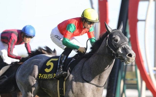 波乱傾向にある神戸新聞杯　穴党記者は非凡な末脚を秘めた人気薄２頭の大駆けに期待