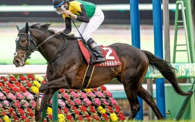 【オールカマー予想】前走重賞組が強いレース 脚質はロングスパート型が向く舞台