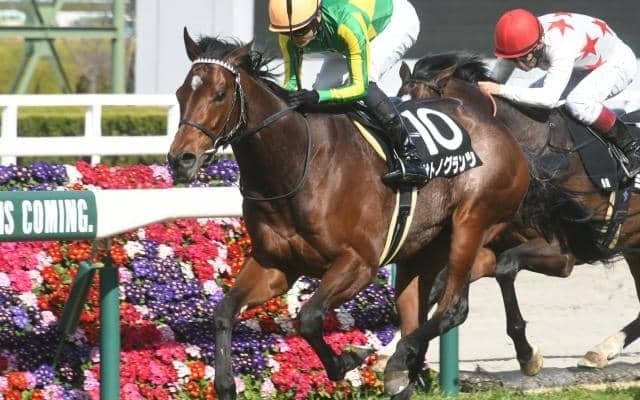 【神戸新聞杯予想】ポイントは「スローの瞬発力勝負」と「前走日本ダービー組」