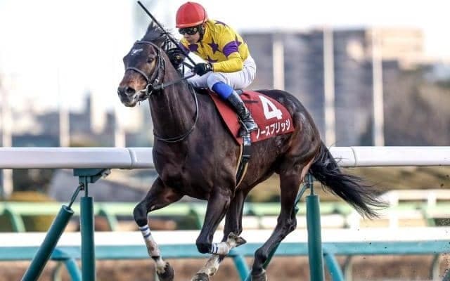 【オールカマー予想】特殊コースでの再好走傾向は？ 同コース重賞勝利経験馬5頭は要注意か？