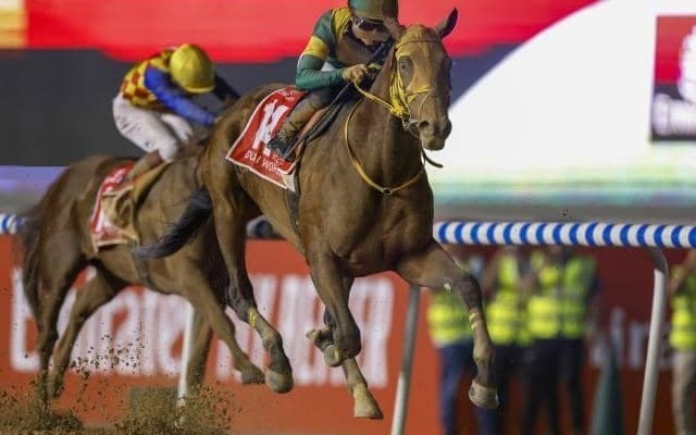 【船橋・日本テレビ盃枠順】ドバイWC覇者ウシュバテソーロは4枠4番