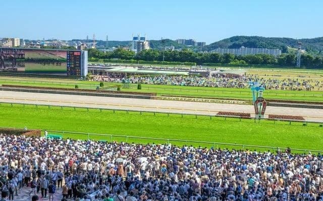 10月8日に「JRAアプリリリース記念競走」を実施 赤富士Sからレース名を変更