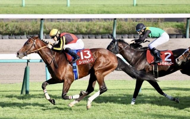 【オールカマー】ローシャムパークが3連勝で重賞2勝目…タイトルホルダーは2着敗退