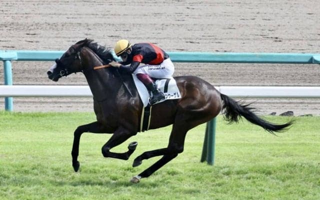 【新馬/中山5R】キズナ産駒 シュバルツクーゲルがデビューV…断然人気カニキュルは2着
