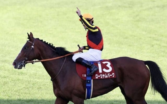 【オールカマー】ルメール「G1レベルにいけます」ローシャムパークが重賞2勝目