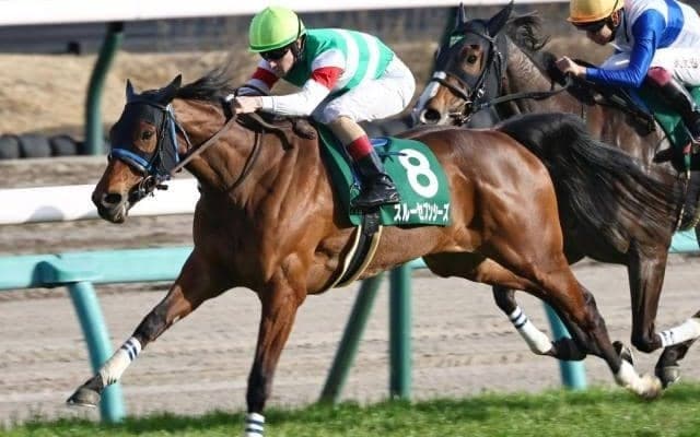 秋のGI開幕戦スプリンターズS 凱旋門賞にスルーセブンシーズ挑戦/今週の競馬界の見どころ