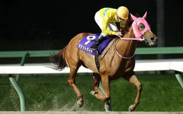 【盛岡・ヴィーナススプリント】キラットダイヤが7馬身差圧勝…鈴木祐「キラットダイヤは衰えなし」