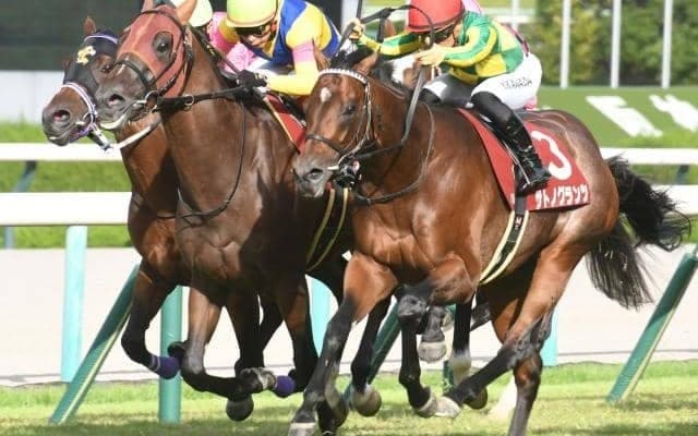 【神戸新聞杯】売上は59億4504万600円で昨年より約5000万円増加