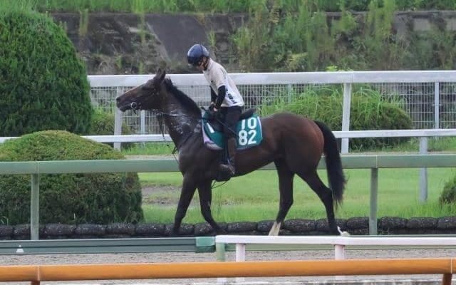 躍進中の全兄に続け 陣営も手応えアリのインザモーメント/関西馬メイクデビュー情報