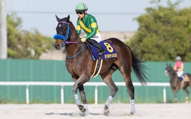 【白山大賞典】重賞連勝中ウィルソンテソーロは3枠3番