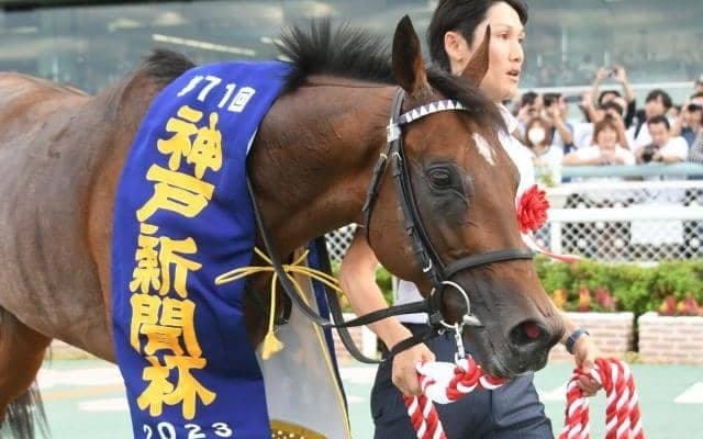 親仔で神戸新聞杯制覇 サトノダイヤモンド産駒は3歳夏以降の上昇に要注意