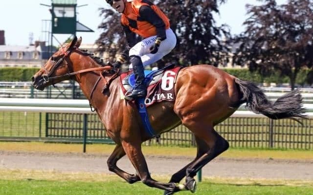 凱旋門賞の登録馬15頭が発表 無敗の仏ダービー馬エースインパクトや日本馬スルーセブンシーズなど