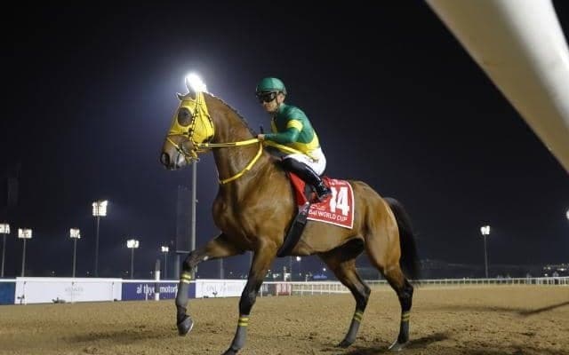 ウシュバテソーロがドバイWCを制覇 オルフェーヴル産駒はなぜ“ダート”でも強い？