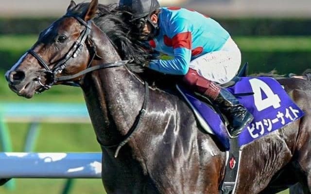 2年前のスプリンターズS覇者 ピクシーナイトが隔年制覇狙う