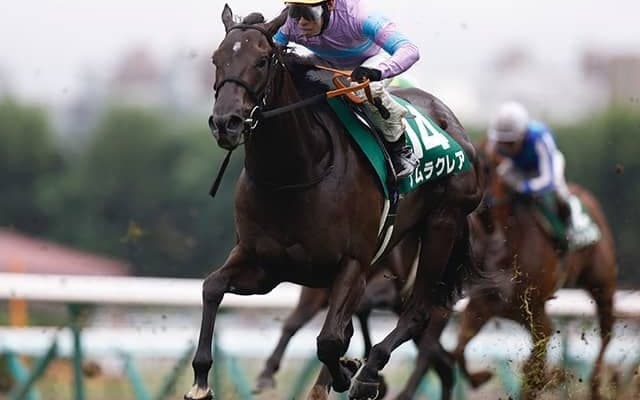 【スプリンターズS予想オッズ】ナムラクレアが予想1番人気