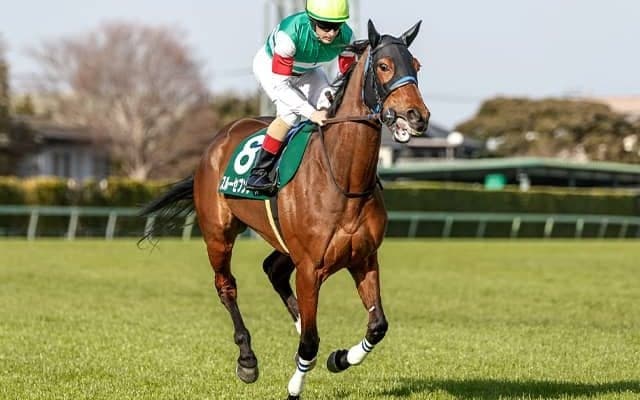 【凱旋門賞】スルーセブンシーズの調教状況 26日は坂路を2本