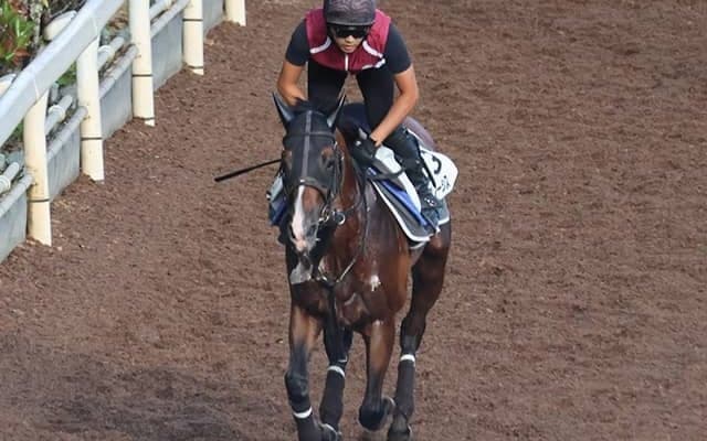 プログノーシスなど、先週の入厩情報/栗東トレセンニュース