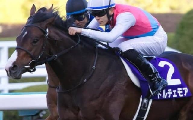 ニシノフラワー以来31年ぶりの快挙へ 朝日杯FS覇者がスプリンターズSに参戦