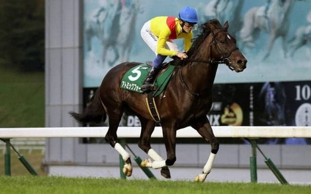 【盛岡・OROカップ】アトミックフォースが連覇！5馬身差で快勝…笹川「自信を持って乗りました」