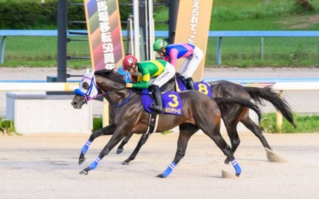 【白山大賞典】単勝1.2倍、ウィルソンテソーロが断然の支持に応える