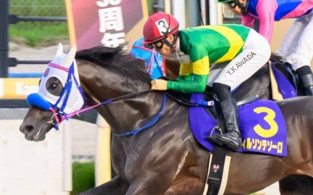 【白山大賞典】川田「気持ちが前向きな馬」ウィルソンテソーロが交流重賞3連勝