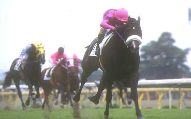 ナリタブライアン“没後25年” 今なお人々の記憶残る三冠劇