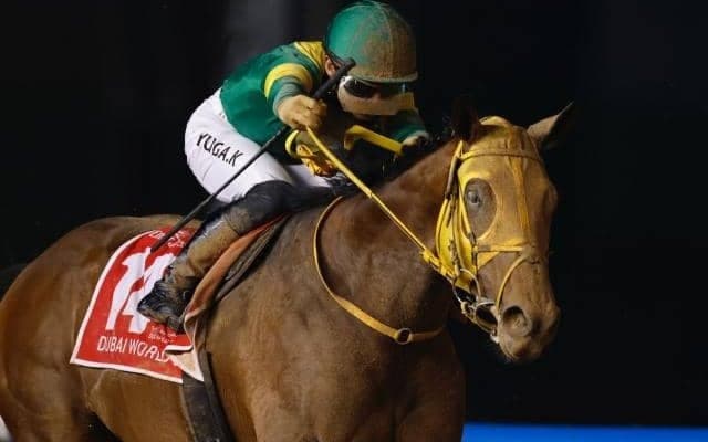 ドバイWC覇者ウシュバテソーロが参戦 米遠征に勢いづく勝利なるか/船橋・日本テレビ盃注目馬