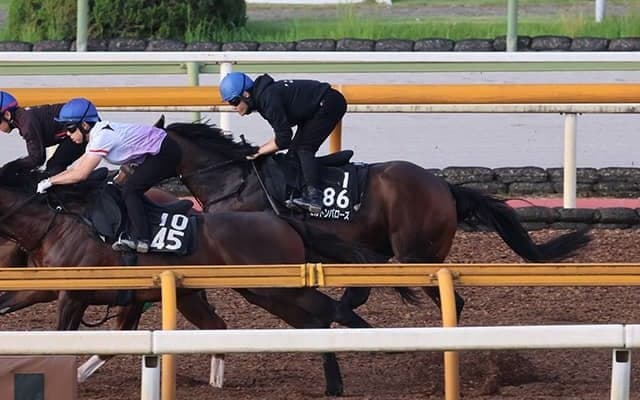 エルトンバローズ、毎日王冠1週前追い切り速報/栗東トレセンニュース