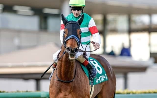 【凱旋門賞】スルーセブンシーズが8ハロンを単走で追い切り C.ルメール騎手「今からとても楽しみ」