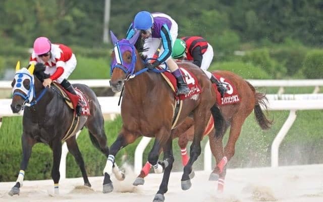 【園田・姫山菊花賞結果】ラッキードリームが断然人気に応え重賞10勝目を挙げる