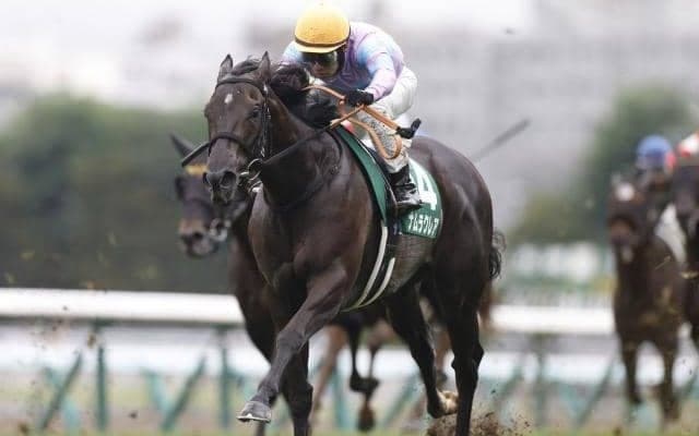 【スプリンターズS・調教後馬体重】ナムラクレアは482kg、アグリは502kg