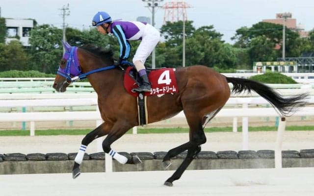 【園田・姫山菊花賞】単勝1.1倍ラッキードリームが完勝…下原「きっちり勝ってくれる」