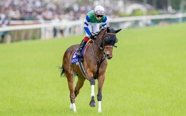 【スプリンターズS】出走馬の調教後の馬体重