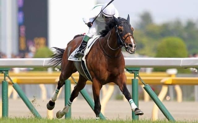 ダービー馬のラストレース/島田明宏