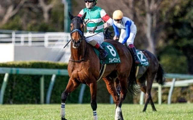 【凱旋門賞】スルーセブンシーズは軽めの調整