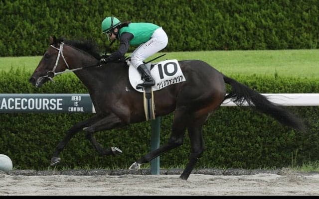 【新馬/阪神4R】河原田菜々騎乗、クリノファンタジアが8馬身差圧勝