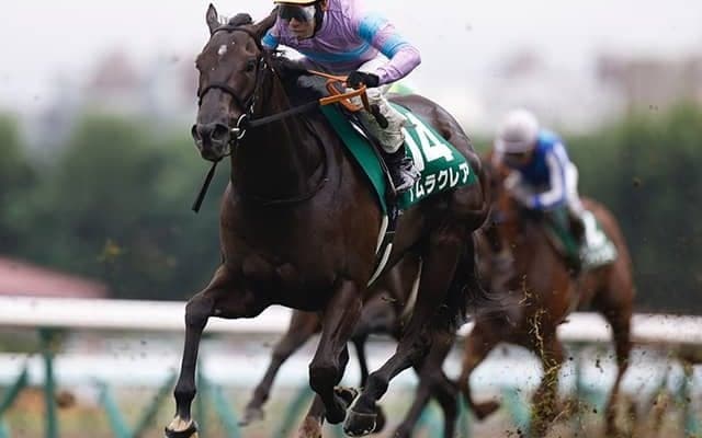 【スプリンターズS枠順確定】ナムラクレアは1枠1番、ママコチャは3枠6番