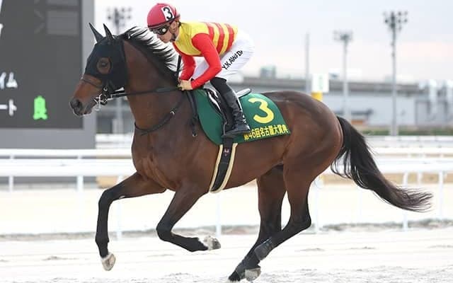 【シリウスS枠順確定】ハギノアレグリアスは8枠14番、ヴァンヤールは3枠3番