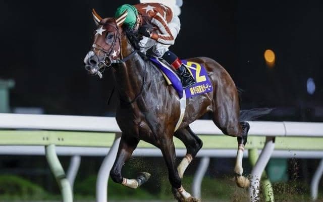 最後のダービーグランプリで三冠馬対決が実現！ ミックファイアは7枠7番、ベルピットは1枠1番