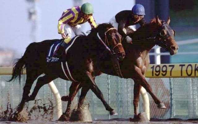 GI馬シンコウウインディが30歳で死す 97年のフェブラリーS覇者
