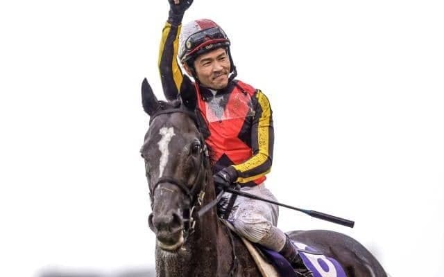 【毎日王冠想定馬・騎手】ソングライン、シュネルマイスターなど12頭