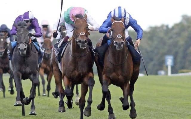 重賞8勝の良血馬が凱旋門賞に参戦 キングジョージに続くビッグタイトル獲得へ